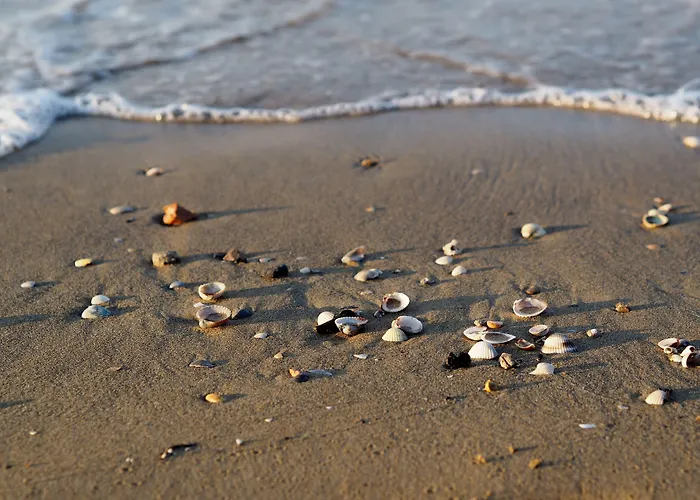 Flat In Building With Lift 250m From The Sea Apartamento